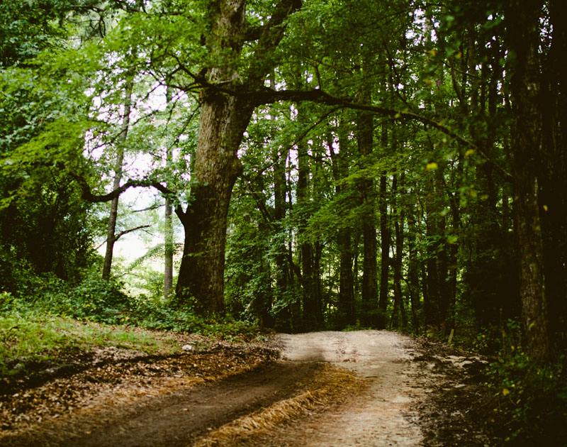 cc攻击免费网页版